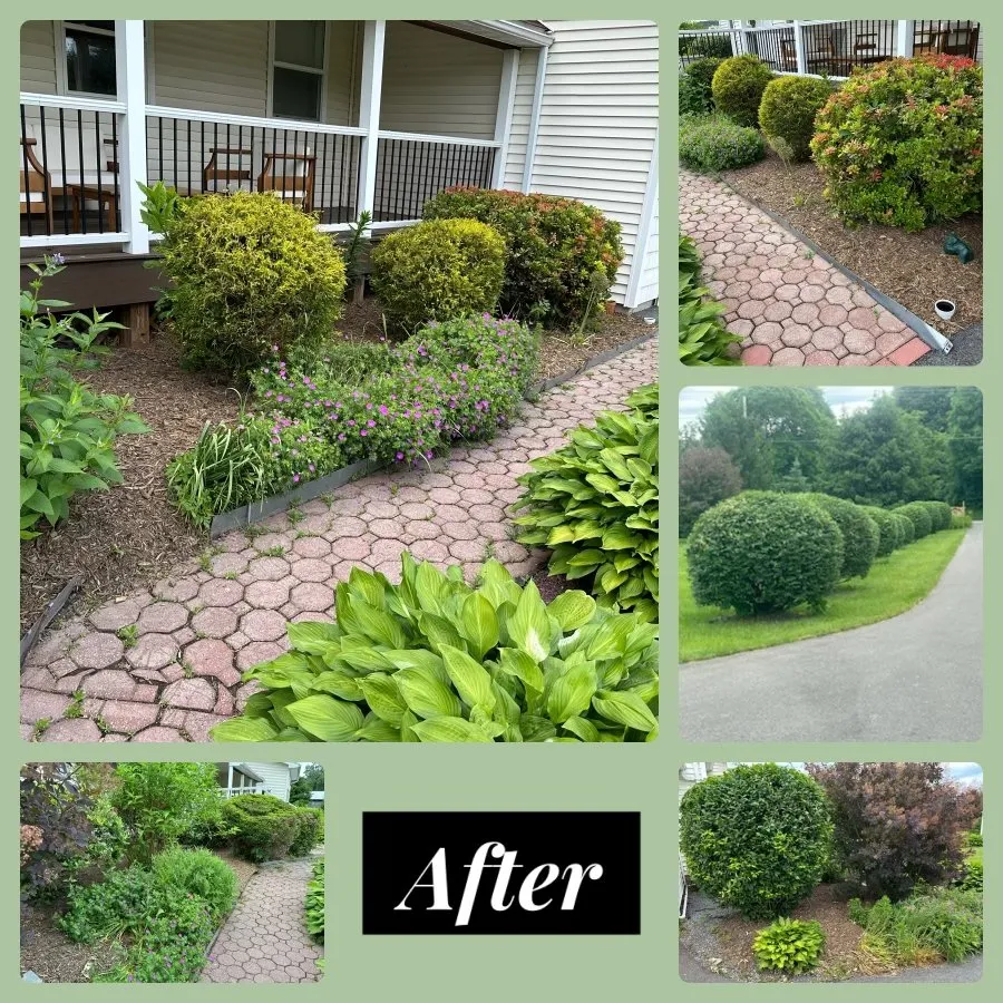Top-rated landscaping services with custom design in Olivebridge, NY by Care BnB Home Solutions
