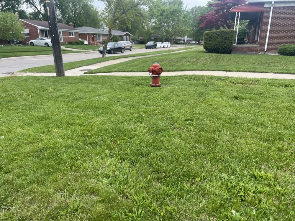 Local landscape installation in Wayne, MI - Care For Lawn