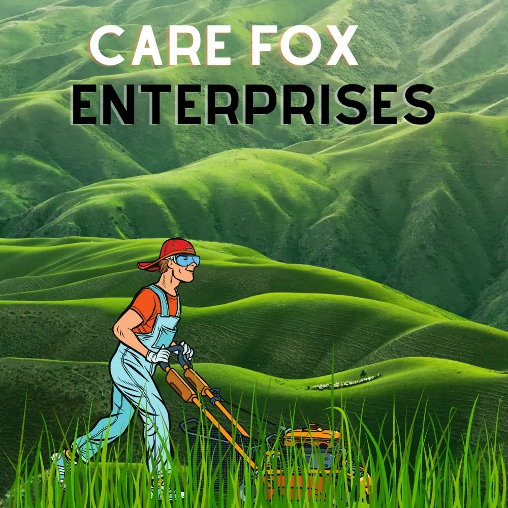 Affordable landscape installation experts serving Cambridge, NY - Care Fox Enterprises