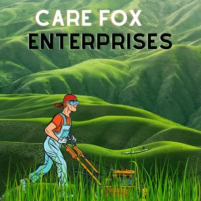 Care Fox Enterprises