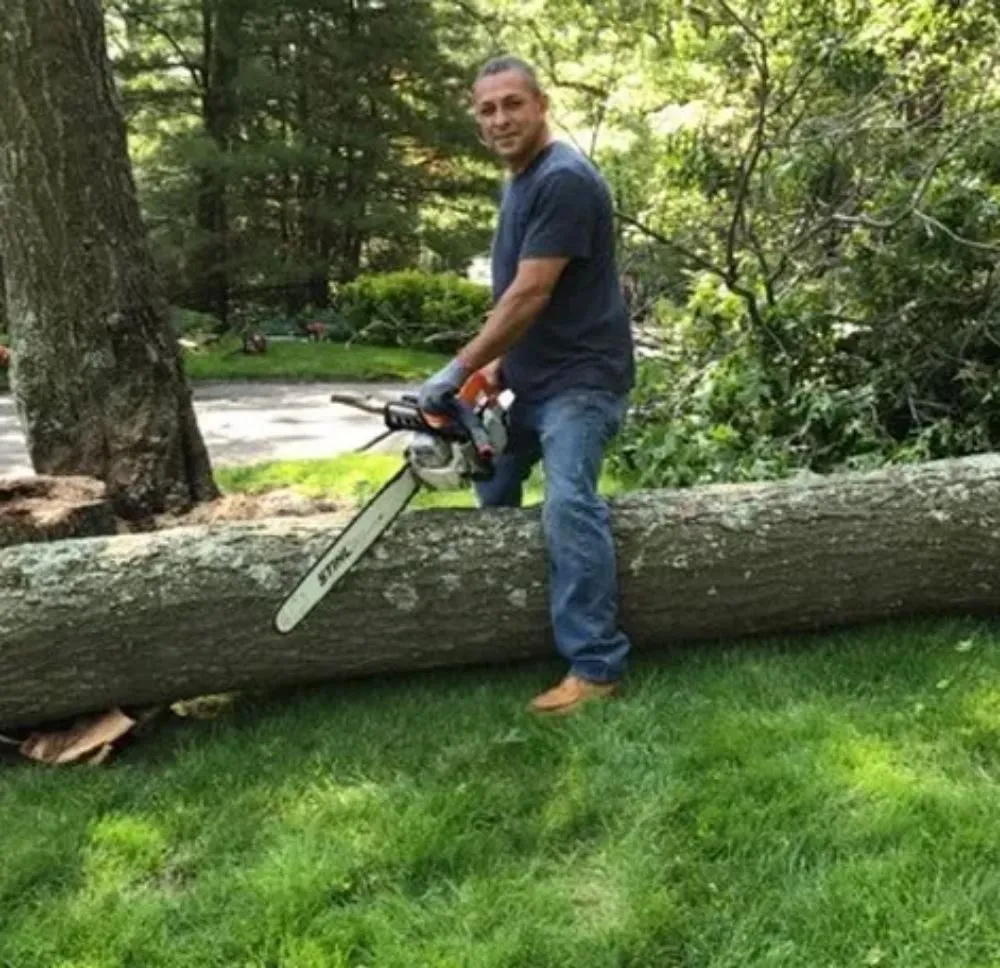 Reliable landscape design near you across Los Fresnos, TX - Care Free Lawn Services