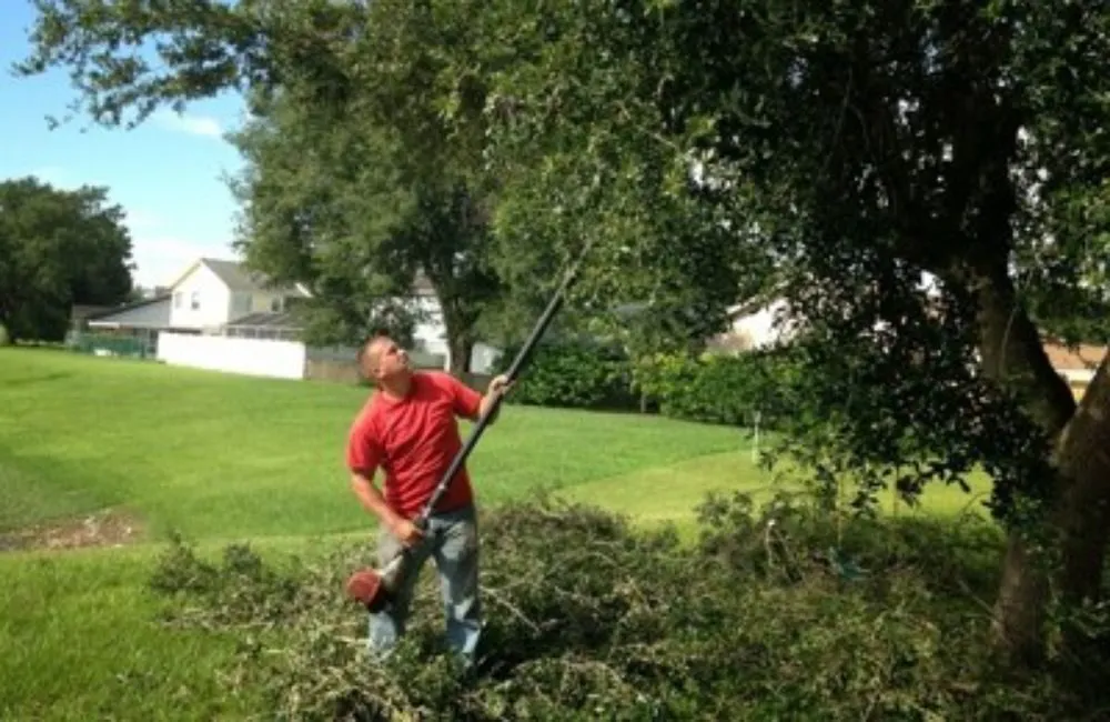 Trusted yard cleanup service for residential properties in Los Fresnos, TX by Care Free Lawn Services