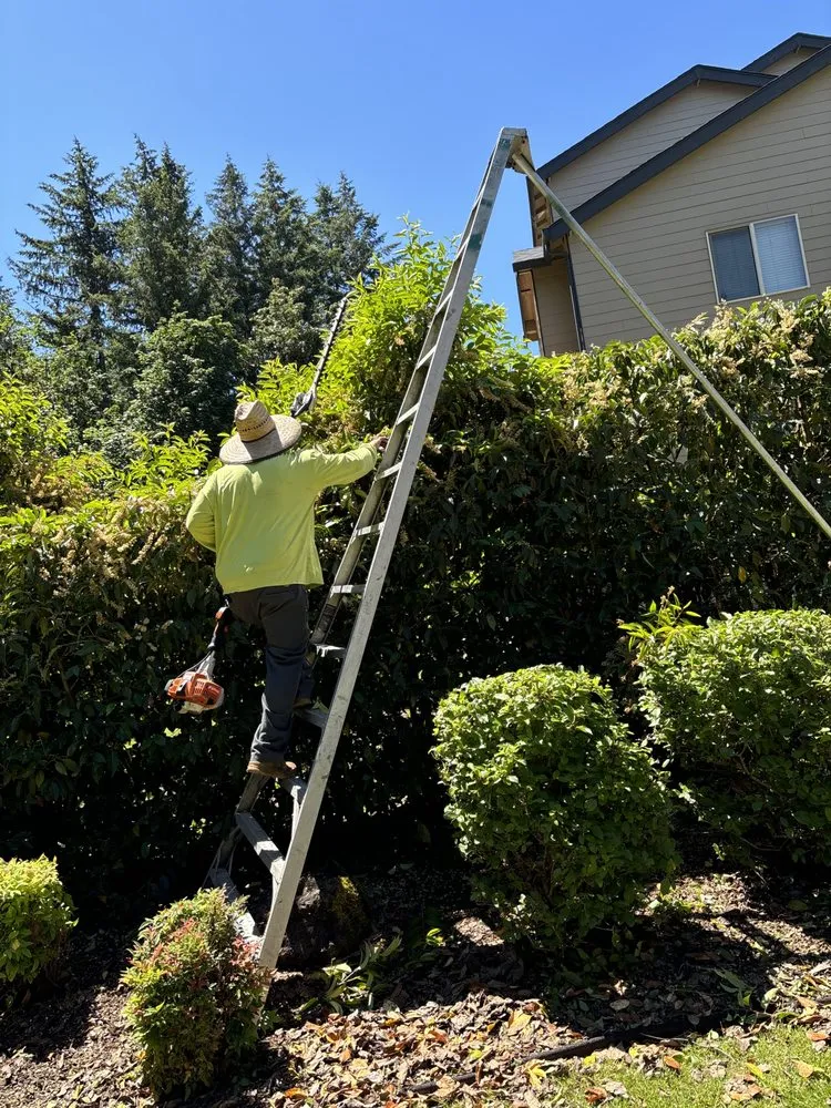 Trusted residential landscaping experts serving Vancouver, WA - Care Landscape