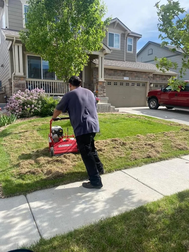Professional yard cleanup service with custom design in Brighton, CO by Carefree Landscaping Solutions