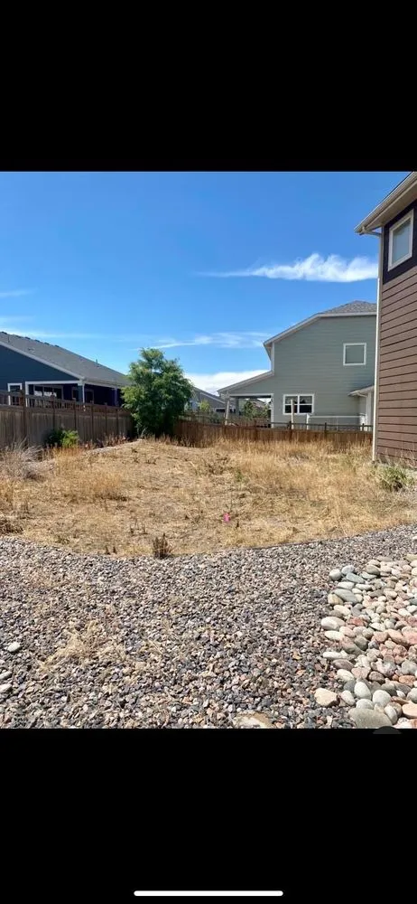 Professional yard cleanup service experts serving Brighton, CO - Carefree Landscaping Solutions