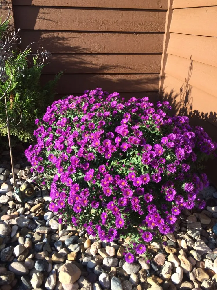 Top-rated landscape installation experts serving Rapid City, SD - Carefree Lawn & Sprinkler