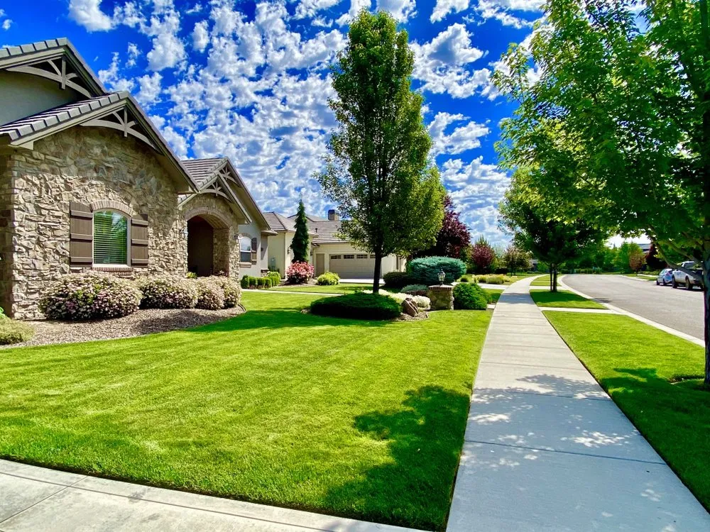 Professional yard cleanup service experts serving Meridian, ID - Carefree Lawns