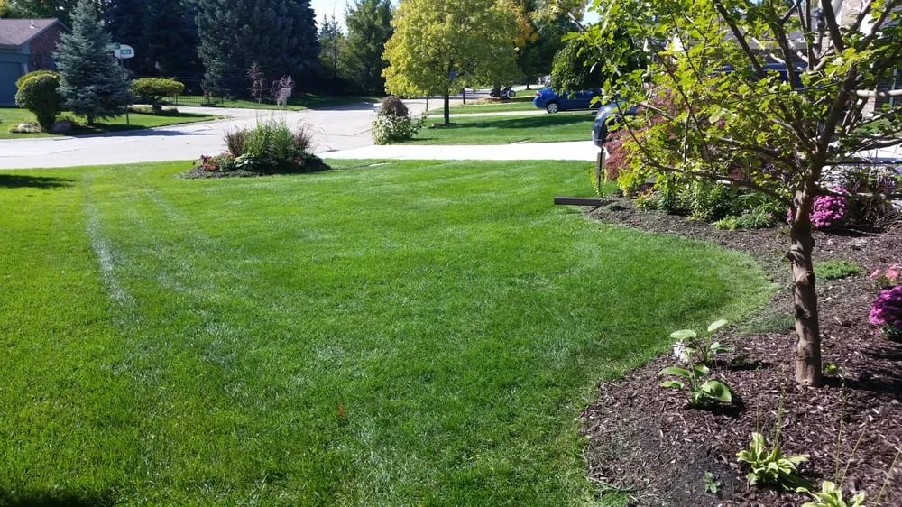 Trusted yard maintenance near you across Mount Clemens, MI - Careful Cuts Lawn Service LLC