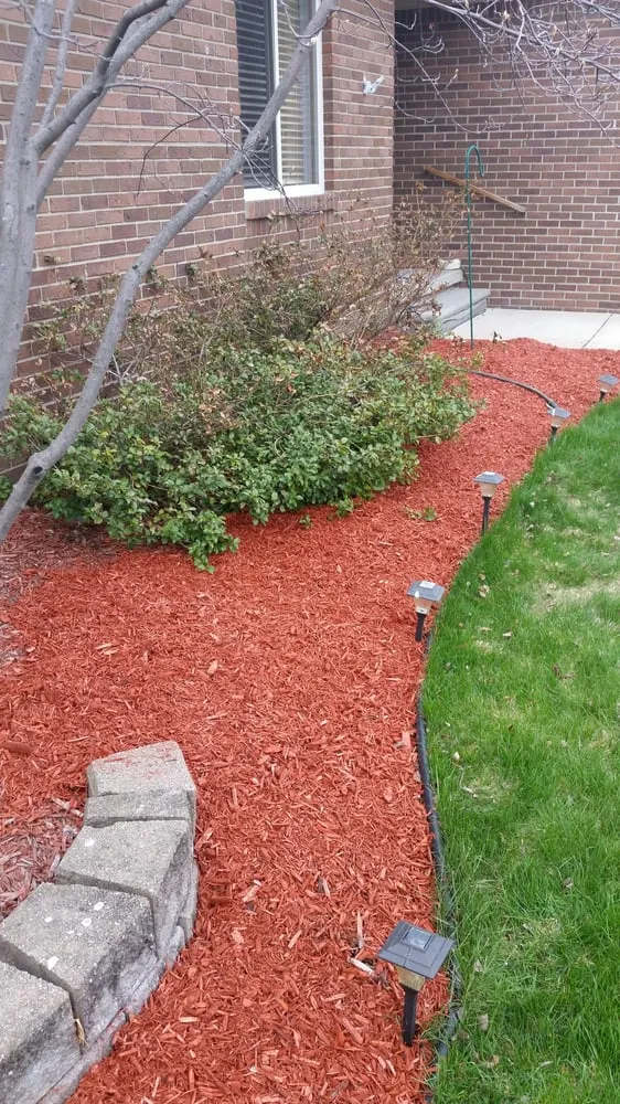 Top-rated yard cleanup service for residential properties across Mount Clemens, MI - Careful Cuts Lawn Service LLC