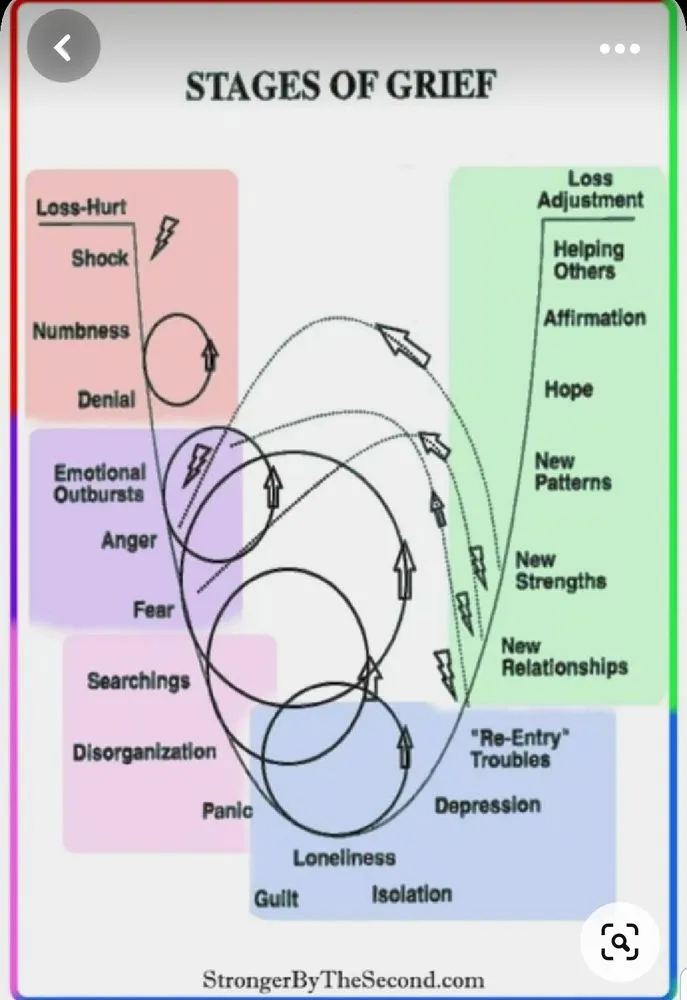 Expert landscape installation for outdoor upgrades across Taylorville, IL - Careful Solutions