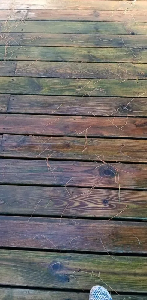 Professional yard maintenance for beautiful yards in Taylorville, IL by Careful Solutions