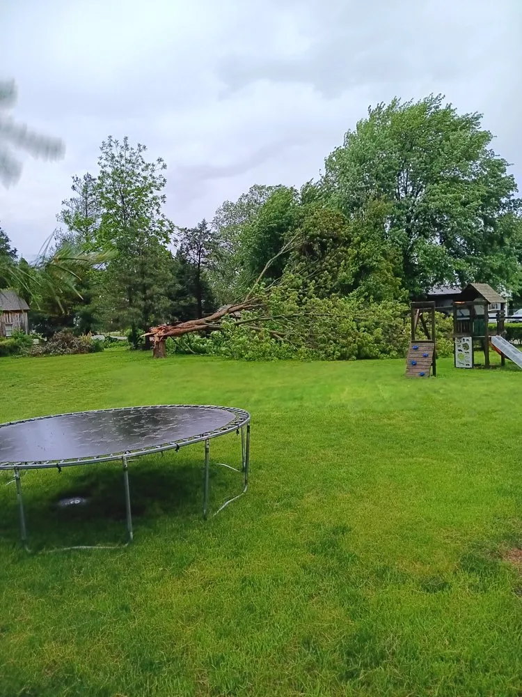 Affordable garden landscaping with custom design in Taylorville, IL by Careful Solutions