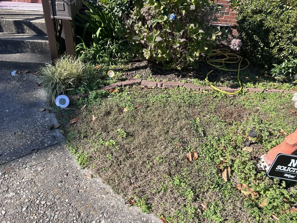 Expert landscape installation experts serving Virginia Beach, VA - Caress Family Landscape