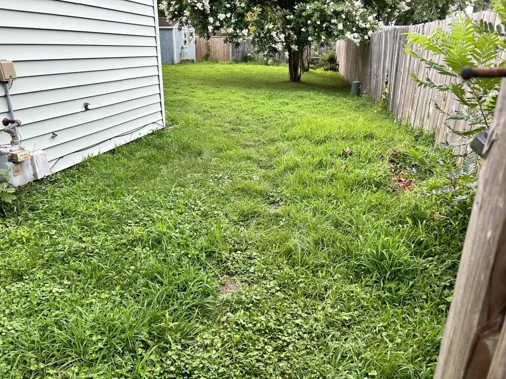 Top-rated lawn care service in Virginia Beach, VA by Caress Family Landscape