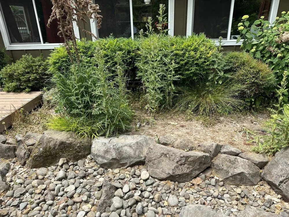 Affordable residential landscaping near you in Beaverton, OR by Caress Landscaping & More