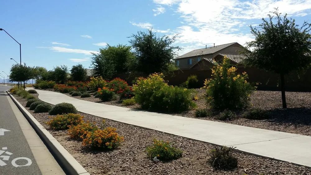 Reliable yard cleanup service in Gilbert, AZ - Caretaker
