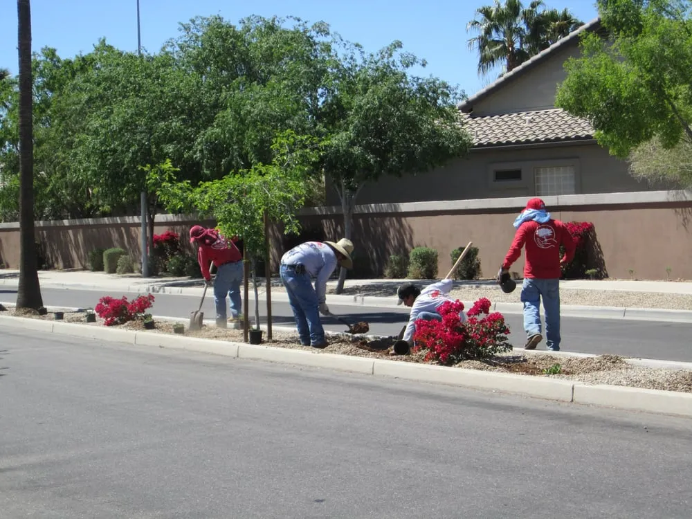 Custom lawn care service in Gilbert, AZ - Caretaker