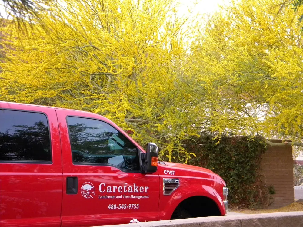 Local landscape installation for homes in Gilbert, AZ by Caretaker