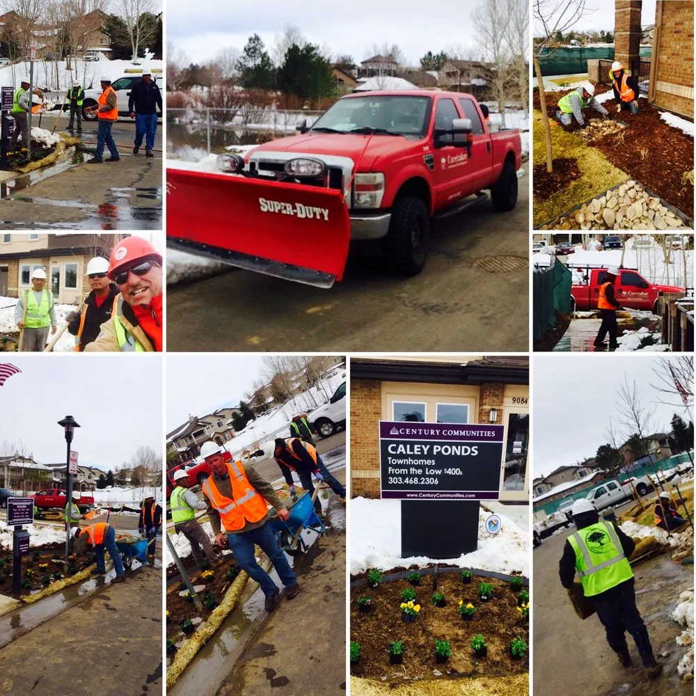 Reliable yard cleanup service for beautiful yards in Littleton, CO by Caretaker Landscape and Tree Management