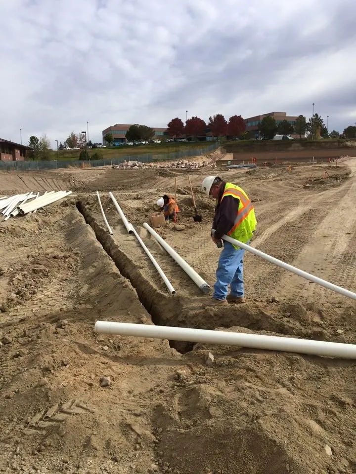 Professional yard maintenance in Littleton, CO by Caretaker Landscape and Tree Management