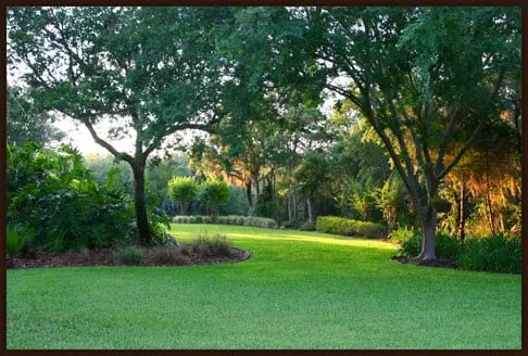 Affordable residential landscaping for year-round maintenance across Rock Hill, SC - Caretaker Management Services