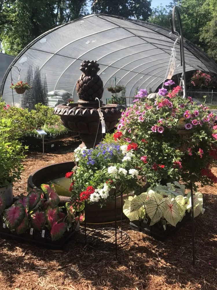 Expert residential landscaping in Greensboro, GA by Carey Station Outpost