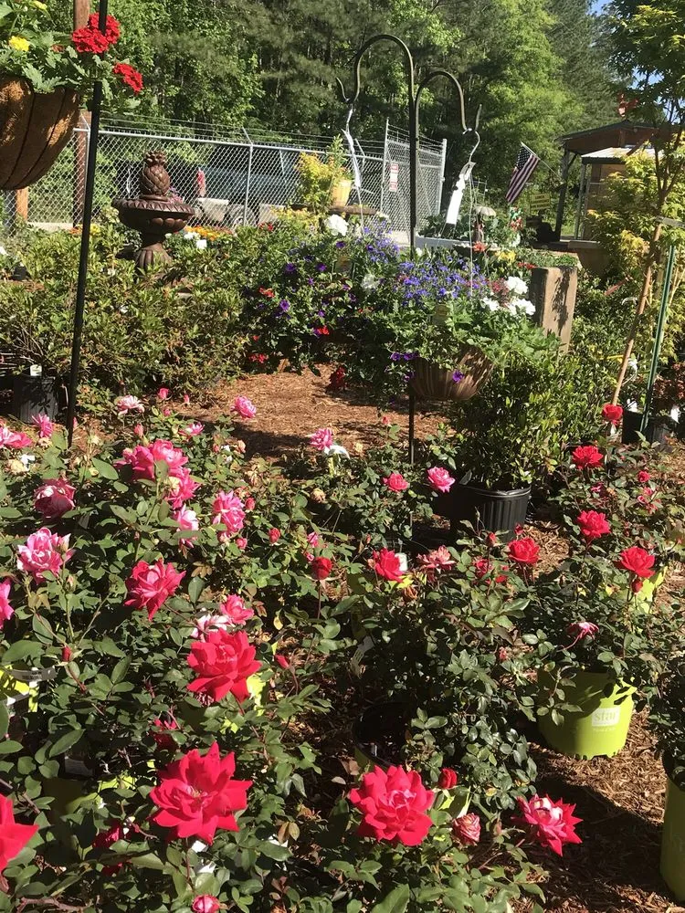 Local lawn care service in Greensboro, GA - Carey Station Outpost
