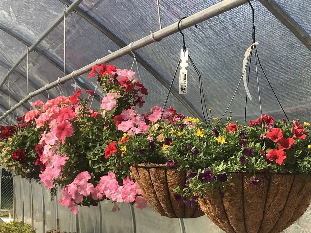 Expert lawn mowing service in Greensboro, GA - Carey Station Outpost