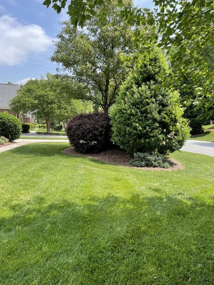 Local yard cleanup service in Iron Station, NC - Cargle Lawn And Landscape