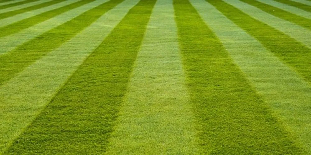 Top-rated lawn mowing service for beautiful yards in Lincoln, NE by Carias Lawn Care