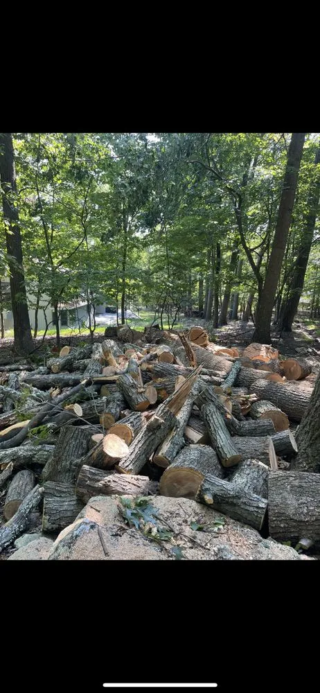 Professional yard maintenance in Frederick, MD - Carias Services