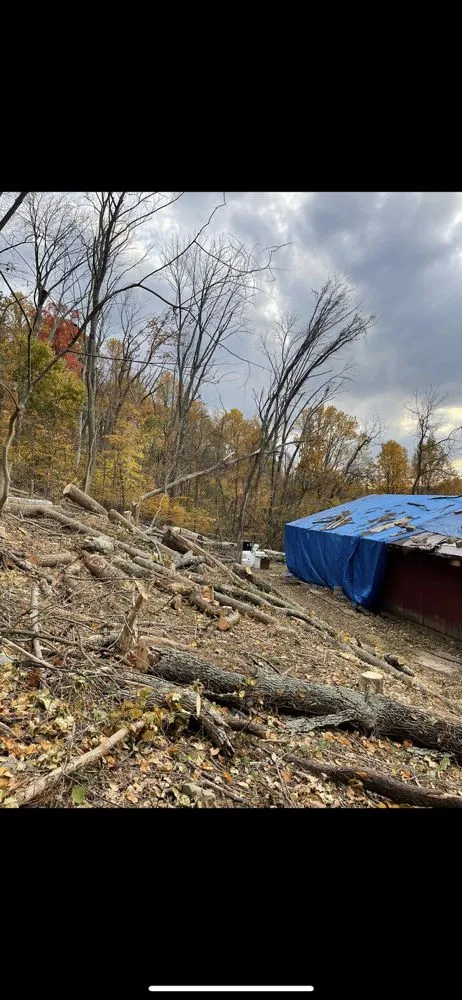 Top-rated lawn mowing service near you across Frederick, MD - Carias Services