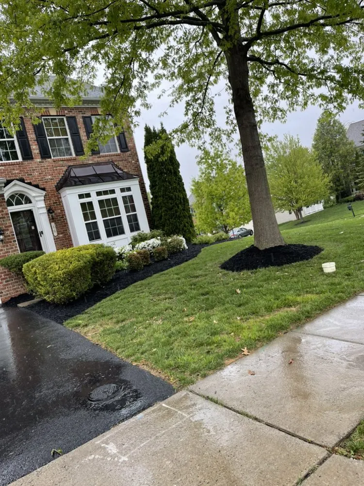 Custom lawn mowing service in Frederick, MD - Carias Services