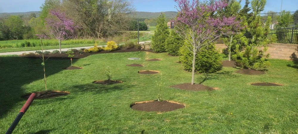 Professional lawn care service in Frederick, MD by Carias Services