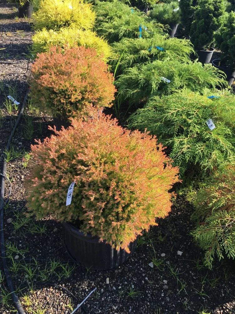 Professional garden landscaping for year-round maintenance in Kildeer, IL by Caribbean Landscape Nursery Construction