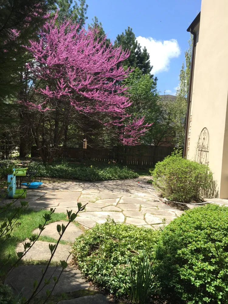 Professional lawn mowing service experts serving Kildeer, IL - Caribbean Landscape Nursery Construction