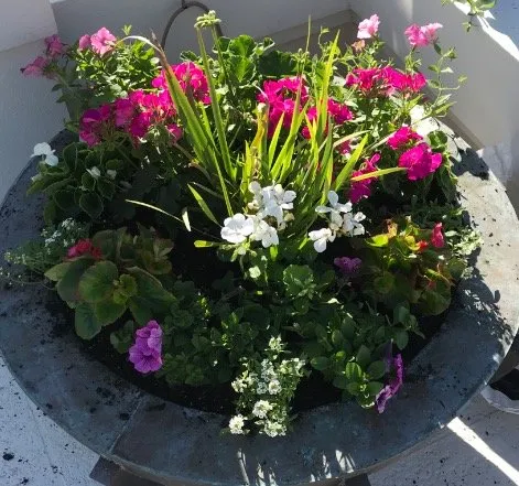 Top-rated garden landscaping in Vero Beach, FL - Caribbean Lawn & Landscaping