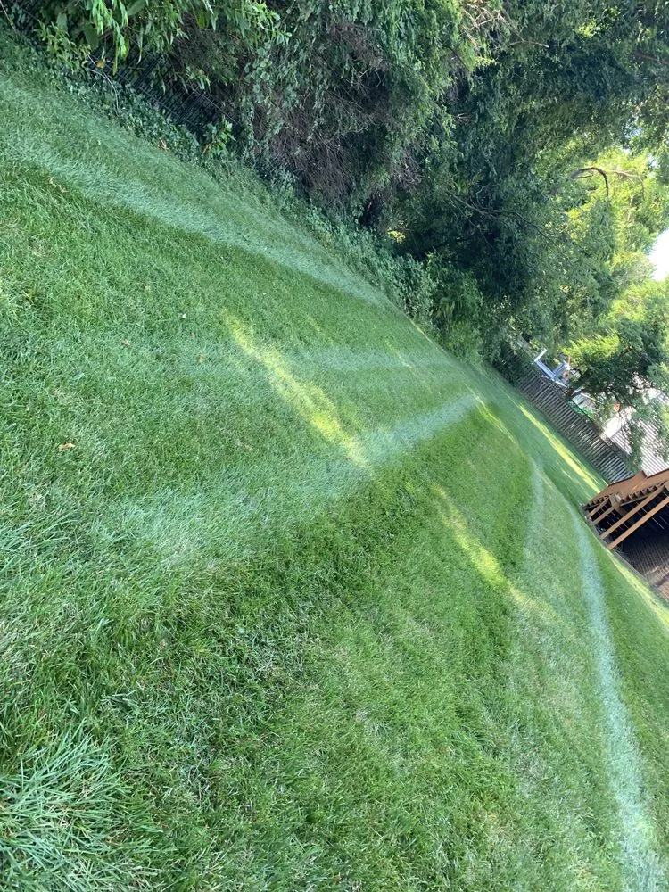 Custom outdoor landscaping experts serving Alexandria, VA - Caribbean Services