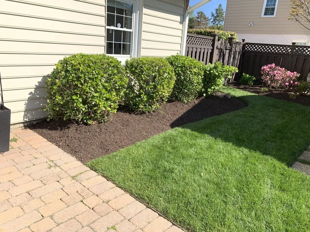 Top-rated landscape design for beautiful yards in Alexandria, VA by Caribbean Services