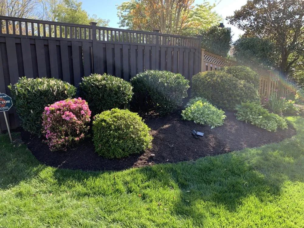 Expert lawn care service in Alexandria, VA by Caribbean Services