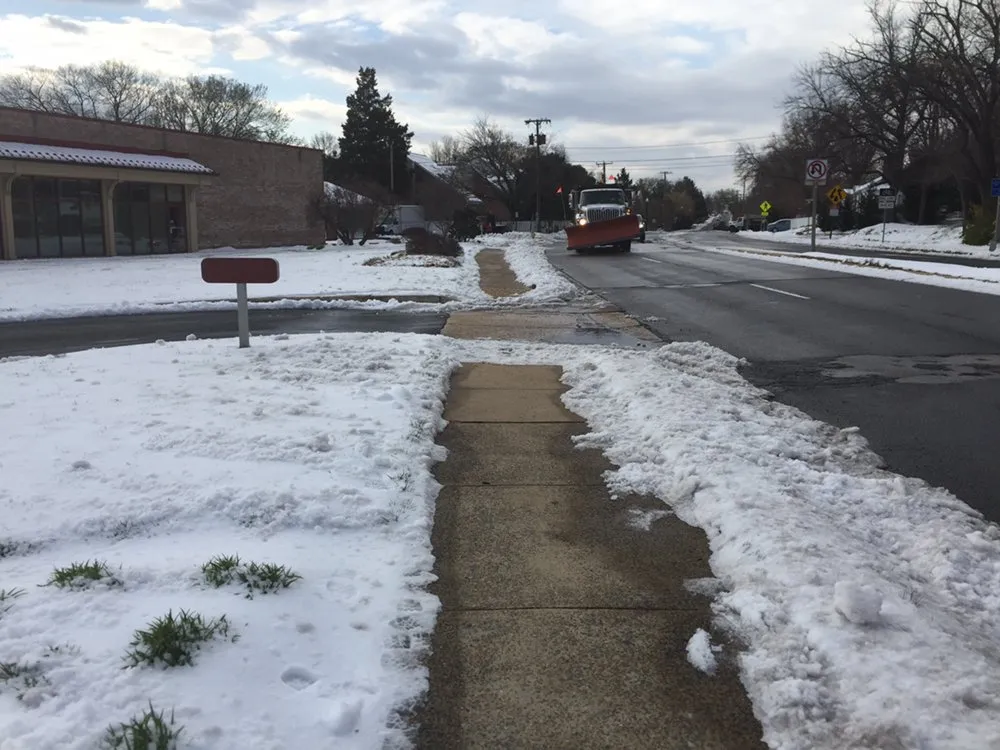 Top-rated landscape installation for beautiful yards across Alexandria, VA - Caribbean Services