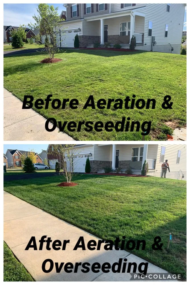 Custom landscape design experts serving Alexandria, VA - Caribbean Services