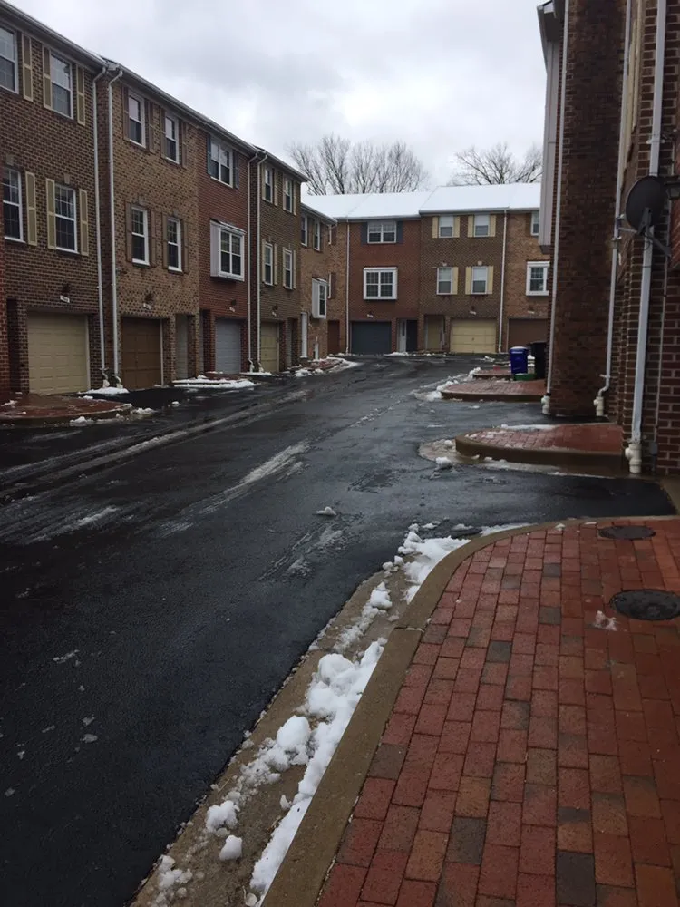 Professional outdoor landscaping in Alexandria, VA - Caribbean Services