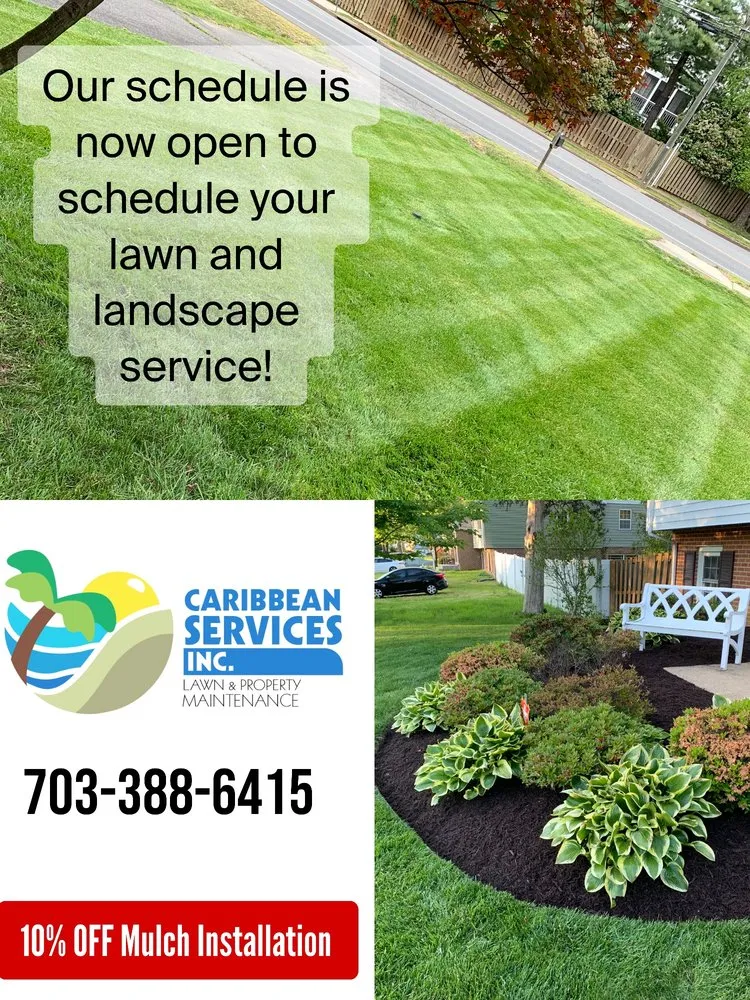 Affordable landscaping services in Alexandria, VA by Caribbean Services
