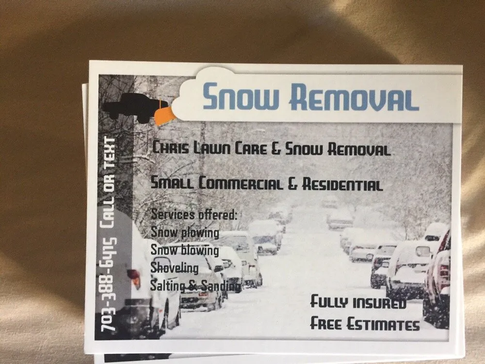 Top-rated yard cleanup service in Alexandria, VA by Caribbean Services