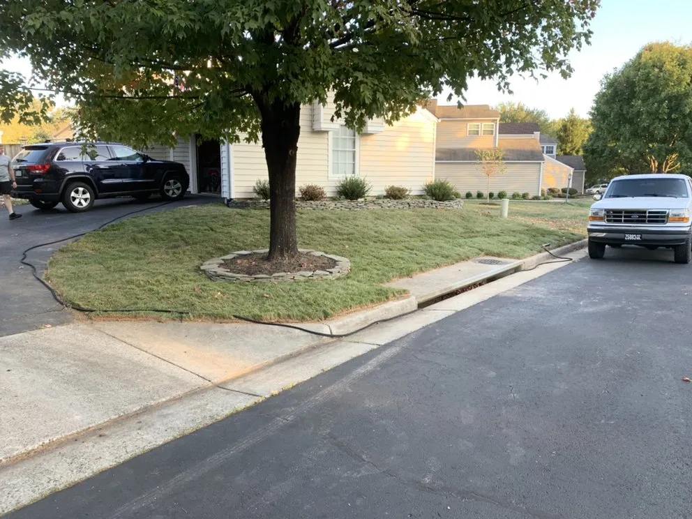 Affordable landscaping services experts serving Alexandria, VA - Caribbean Services