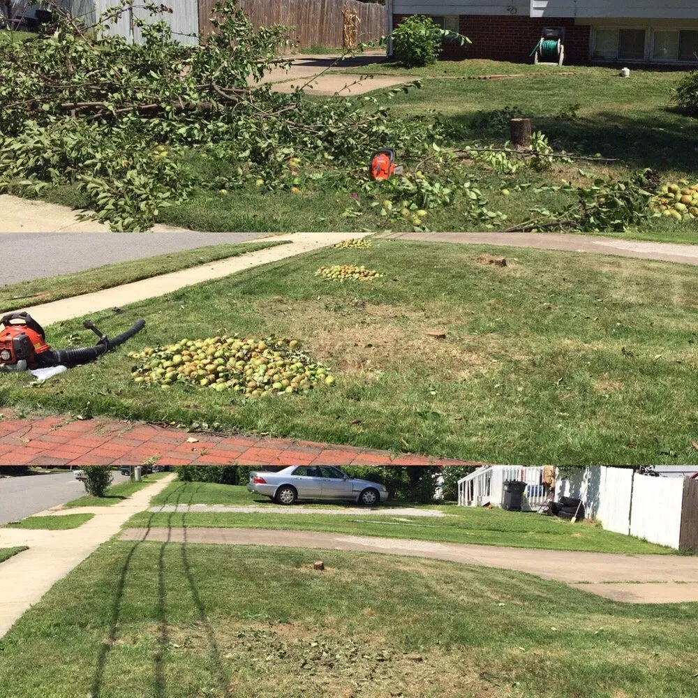 Affordable yard maintenance for homes in Alexandria, VA by Caribbean Services