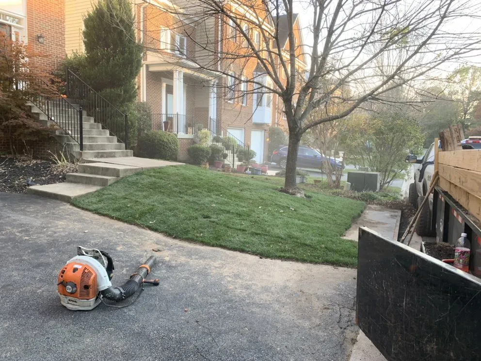 Affordable landscape design in Alexandria, VA - Caribbean Services