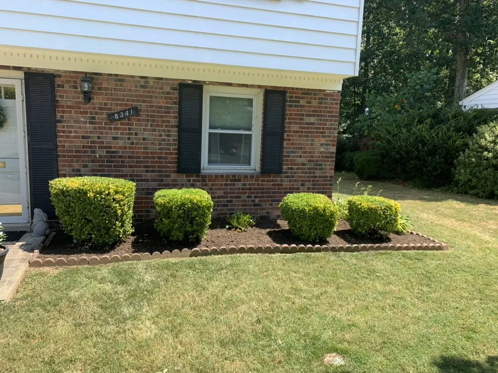 Affordable outdoor landscaping in Alexandria, VA - Caribbean Services
