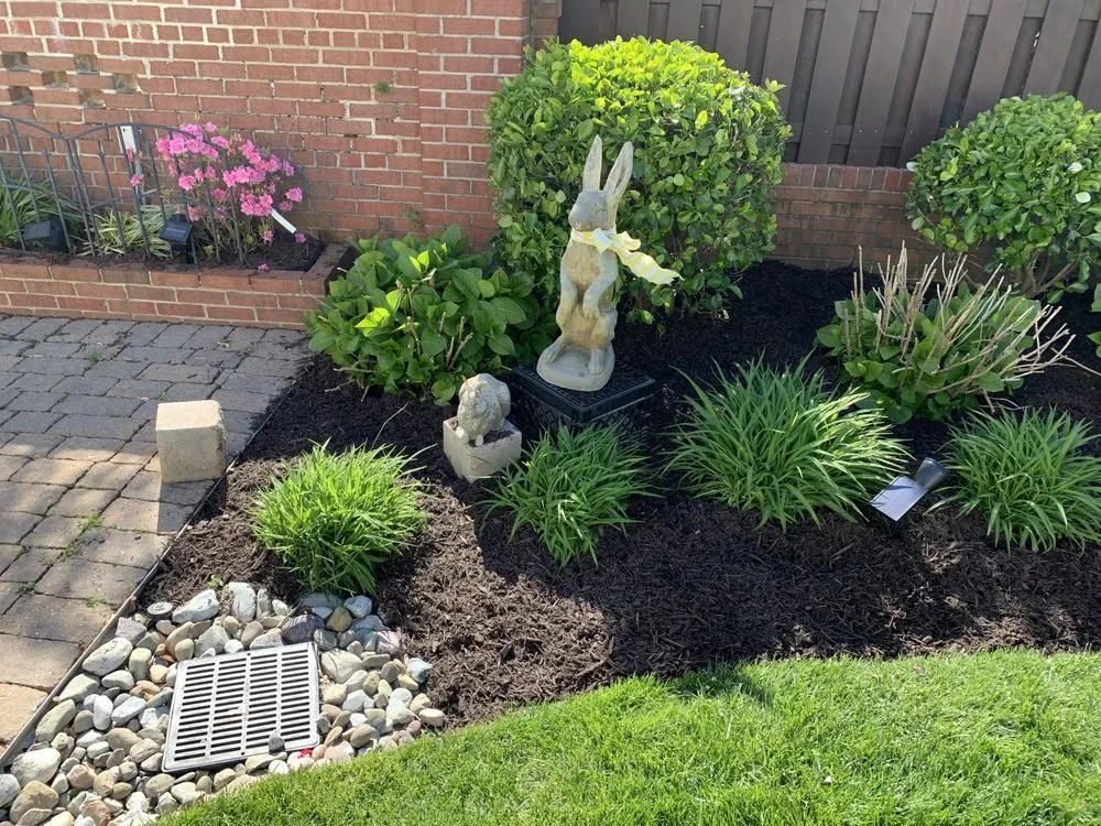 Expert landscape design experts serving Alexandria, VA - Caribbean Services